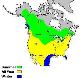 3553map.jpg (11730 bytes)