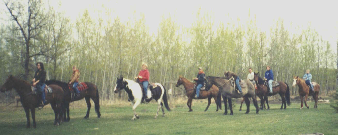 HORSES ON TRAIL.jpg (180414 bytes)