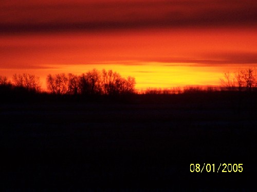 NW MN SUNRISE3.jpg (25511 bytes)