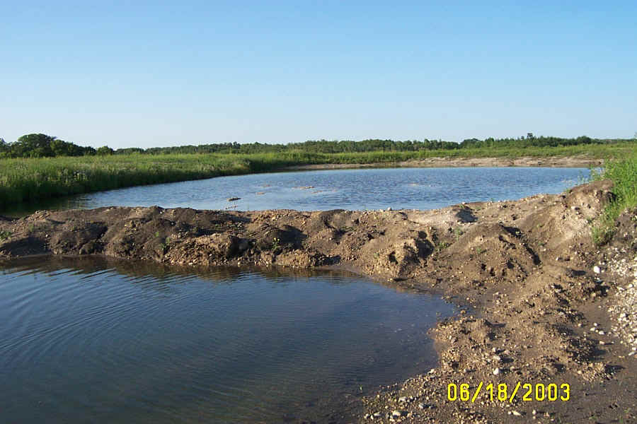 YELLOWLEGS POND FULL.jpg (175531 bytes)