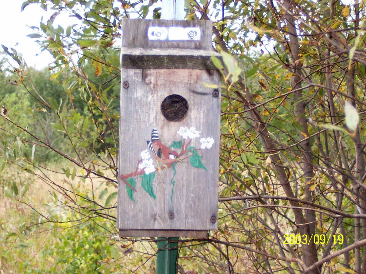 bluebird birdhouse.jpg (1027656 bytes)