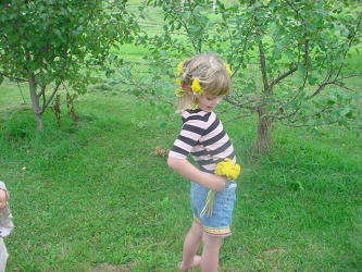 Apple Trees