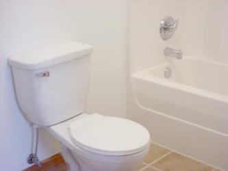 Front Bathroom Shower