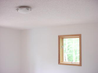 Front Bedroom lighting and 2 of 2 windows