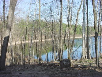 Lake, Looking Left