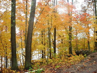 lake view right
