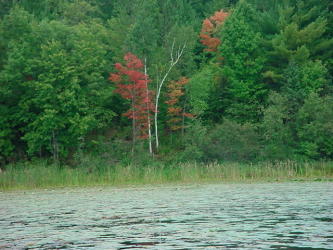 lake 639