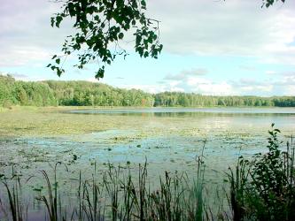 lk658