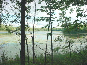 lake 661