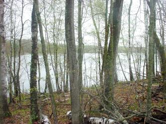 lake