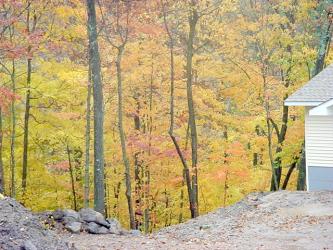 maples view